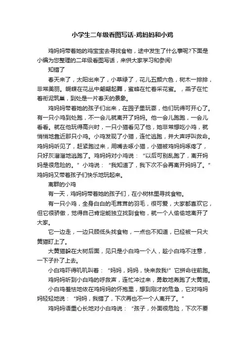 小学生二年级看图写话-鸡妈妈和小鸡