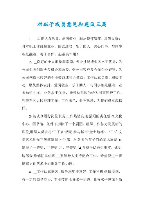 对班子成员意见和建议三篇