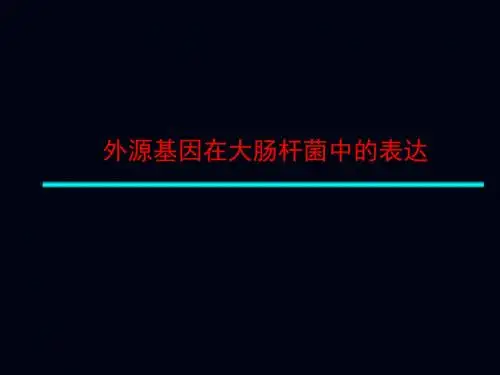 大肠杆菌表达系统