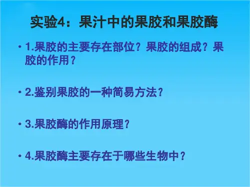 高二生物课件第二部分实验四《果汁中的果胶和果胶酶》课件7(浙科版选修1)