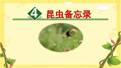 4.《昆虫备忘录》课件(共27张PPT).ppt