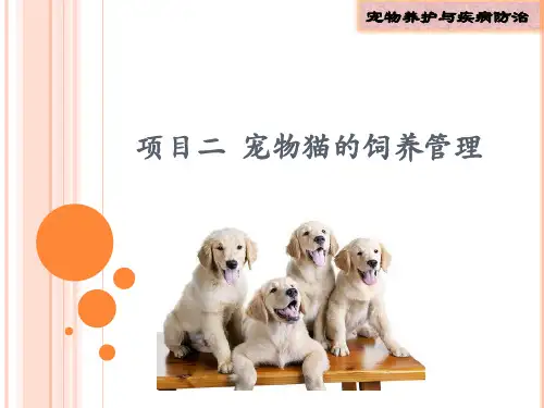 宠物猫的饲养管理 任务1  猫生物学特性的认识