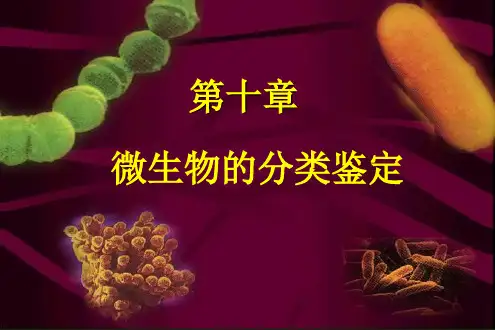 10 微生物的分类鉴定