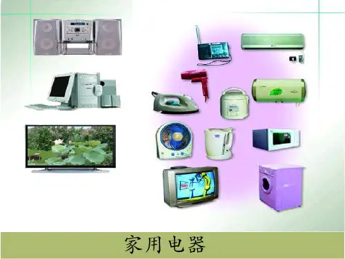 九年级上册物理  13.1 初识家用电器和电路 课件   