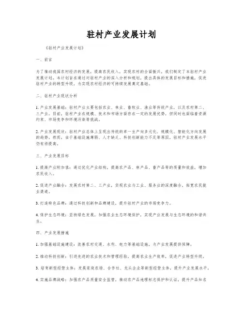 驻村产业发展计划