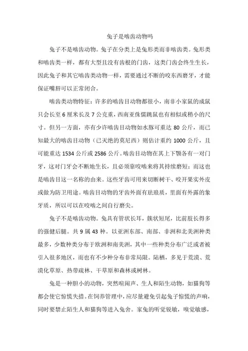 兔子是啮齿动物吗