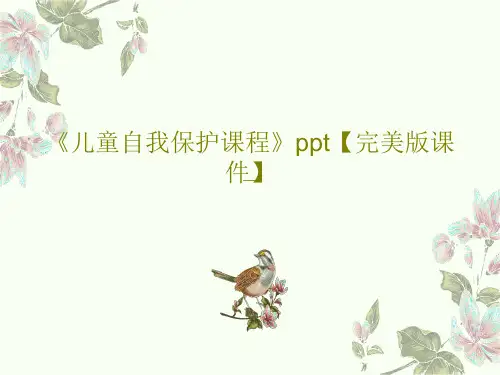 《儿童自我保护课程》ppt【完美版课件】PPT45页