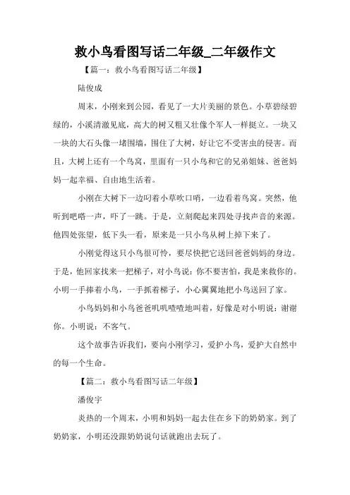 救小鸟看图写话二年级_二年级作文