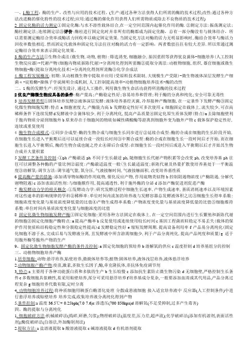 酶工程