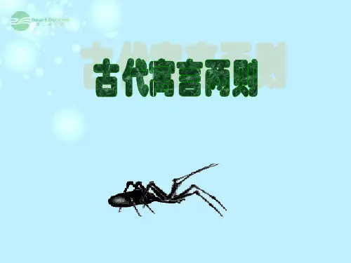 《郑人买履》课堂演示课件