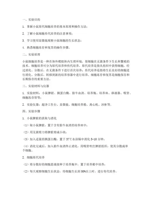 小鼠培育技术实验报告