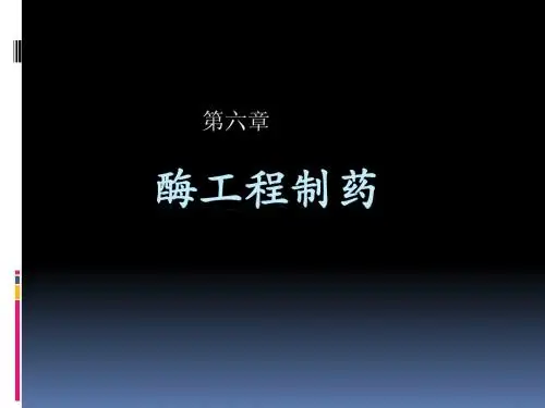 生物技术制药——第六章 酶工程制药
