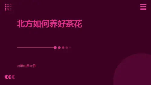 北方如何养好茶花