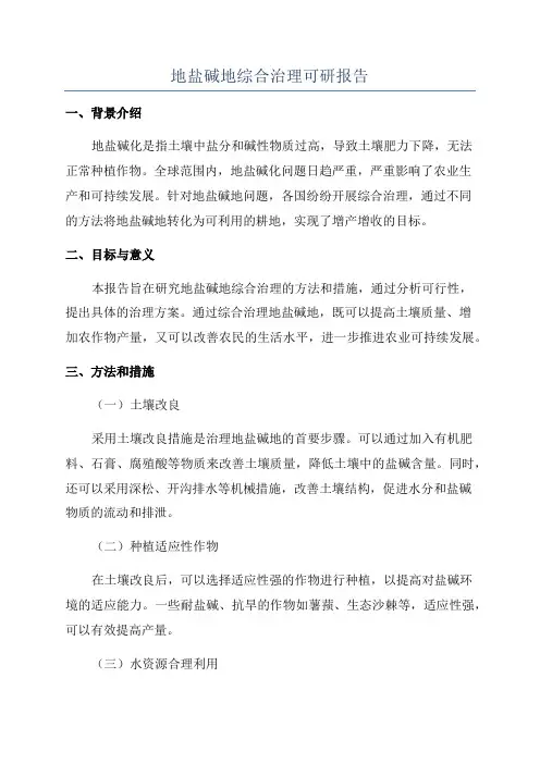 地盐碱地综合治理可研报告
