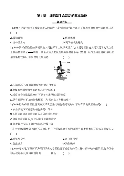 2025年中考生物学专题练习 第03讲 细胞是生命活动的基本单位(含答案)