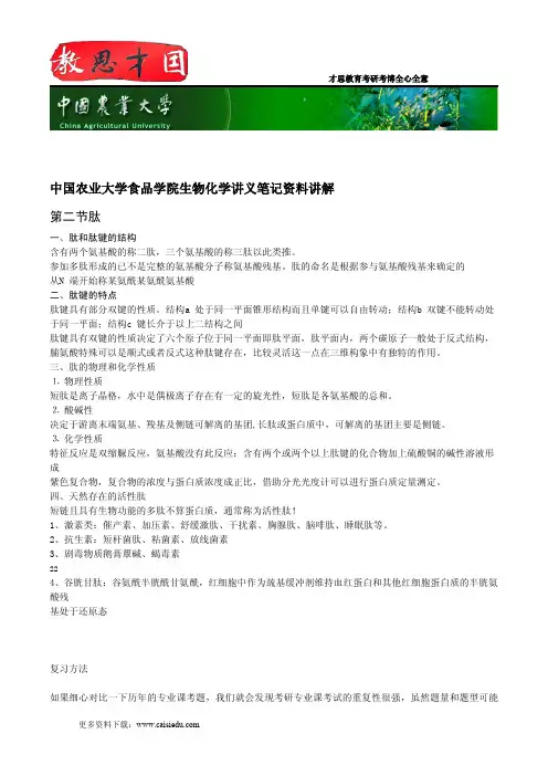中国农业大学食品学院生物化学讲义笔记资料讲解