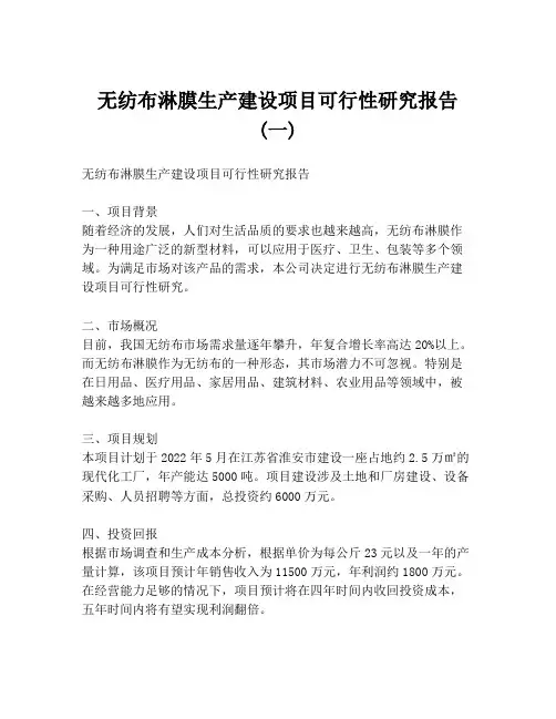 无纺布淋膜生产建设项目可行性研究报告 (一)