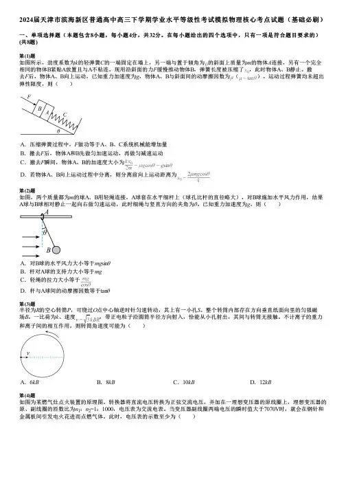 2024届天津市滨海新区普通高中高三下学期学业水平等级性考试模拟物理核心考点试题(基础必刷)
