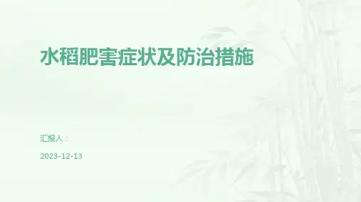 水稻肥害症状及防治措施