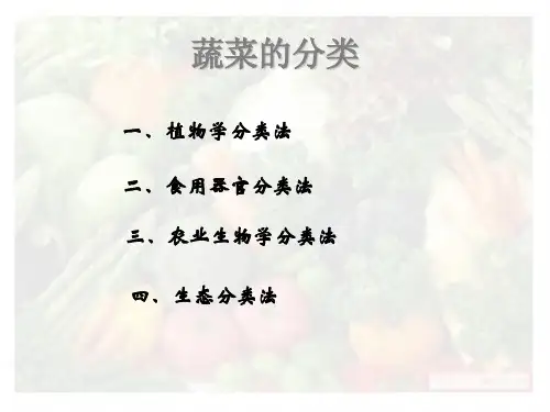 蔬菜的分类