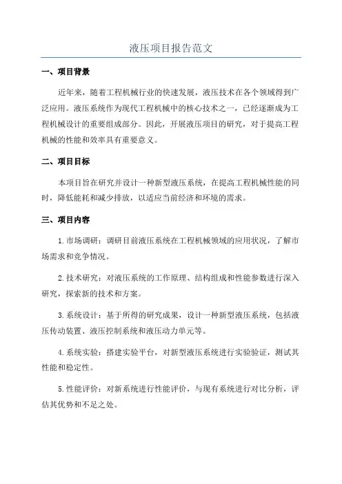 液压项目报告范文