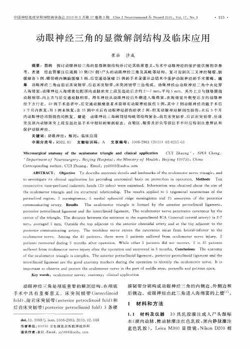 动眼神经三角的显微解剖结构及临床应用