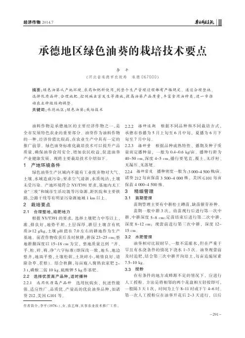 承德地区绿色油葵的栽培技术要点