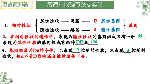 第三节基因的显性和隐性(第二课时)课件人教版生物八年级下册