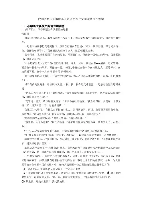 呼和浩特市部编版小升初语文现代文阅读精选及答案
