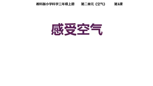  《教科版》小学科学三年级上册《感受空气》