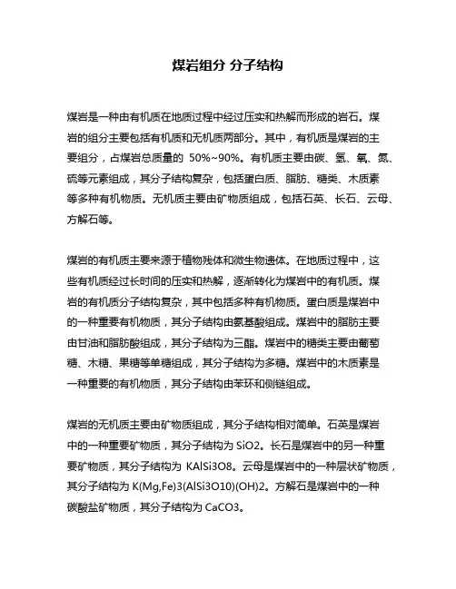 煤岩组分 分子结构