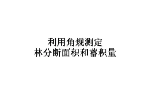 第五讲角规绕测技术