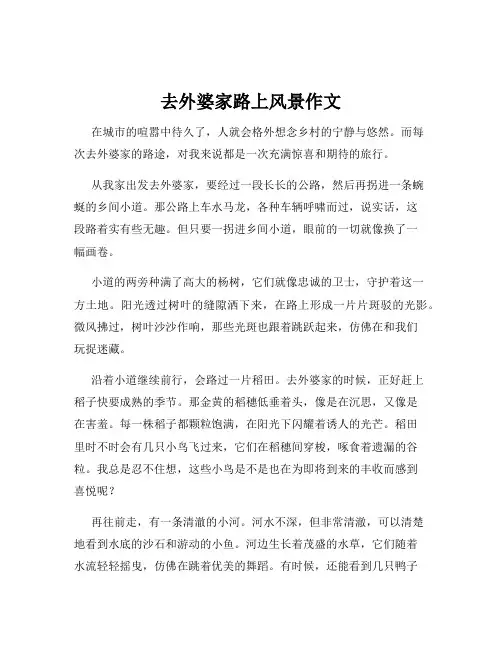 去外婆家路上风景作文