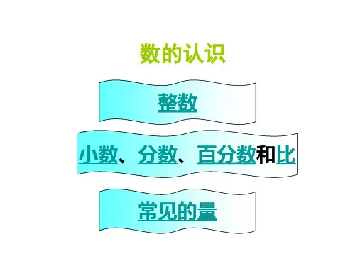 数的认识总复习完整版