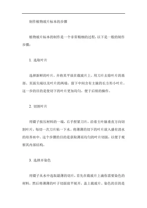 制作植物玻片标本的步骤