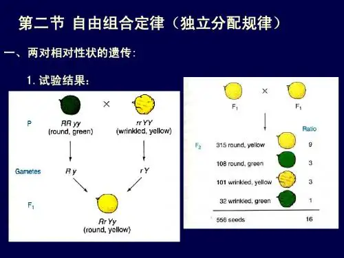 第2章 遗传定律2