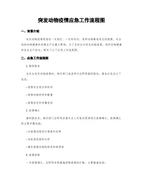 突发动物疫情应急工作流程图