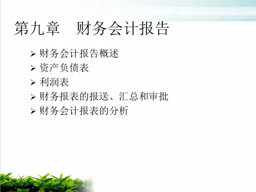 财务会计报告与财务报表模版(PPT30张)