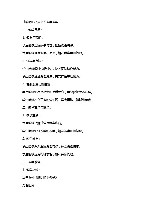 《聪明的小兔子》教学教案
