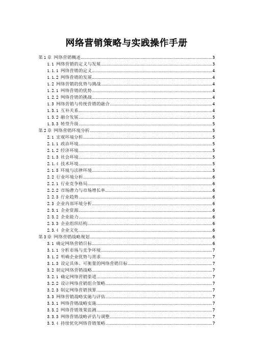网络营销策略与实践操作手册
