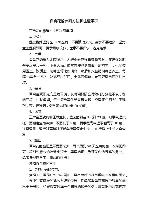 百合花的养殖方法和注意事项