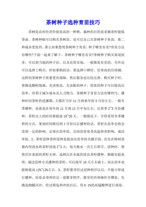 茶树种子选种育苗技巧