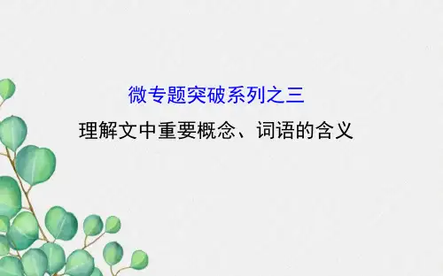 议论文写作之辩证分析..