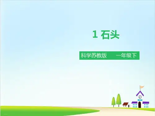 一年级下册科学课件：《石头》(苏教版)