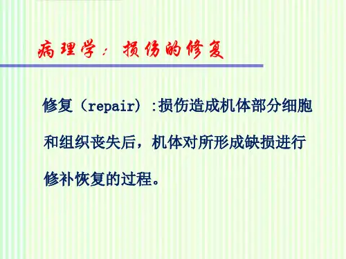 病理学：损伤的修复
