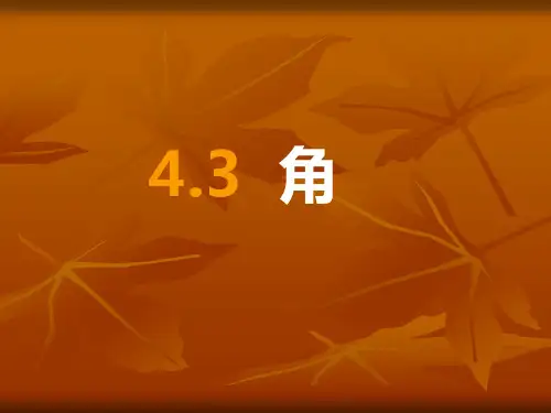 人教版七年级数学上册优秀课件：角