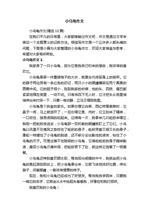 小乌龟作文（精选10篇）
