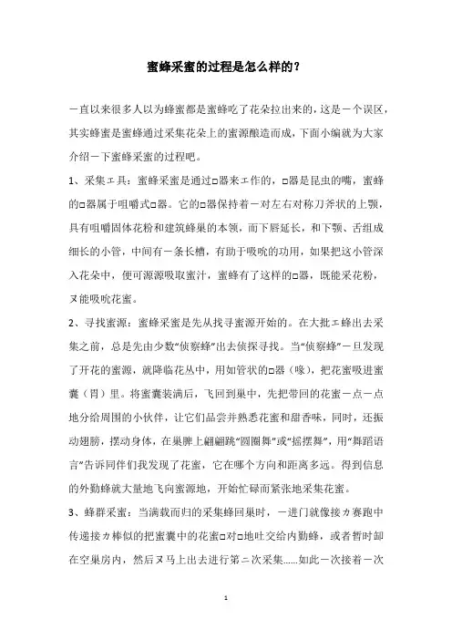 蜜蜂采蜜的过程是怎么样的？
