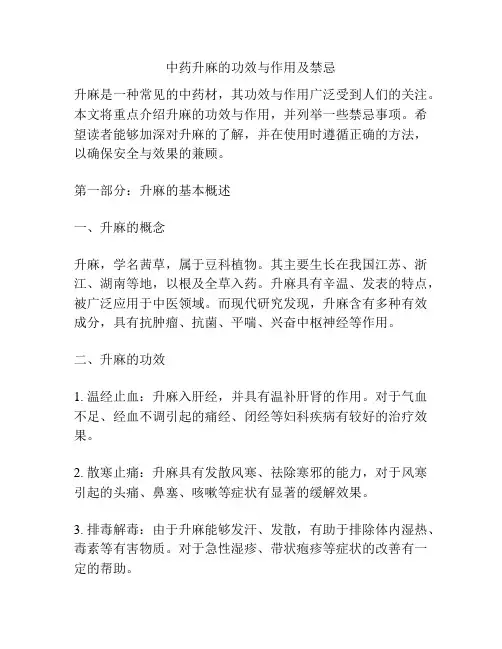 中药升麻的功效与作用及禁忌