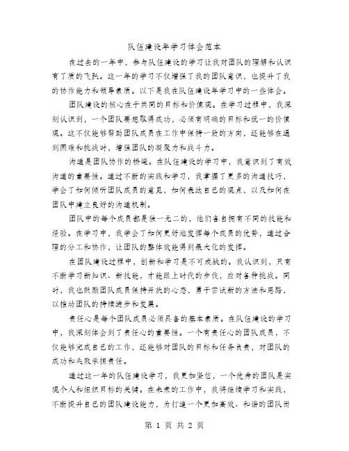 队伍建设年学习体会范本